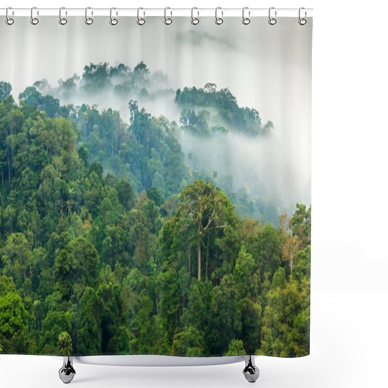 Personality  Jungle Morning Fog Shower Curtains