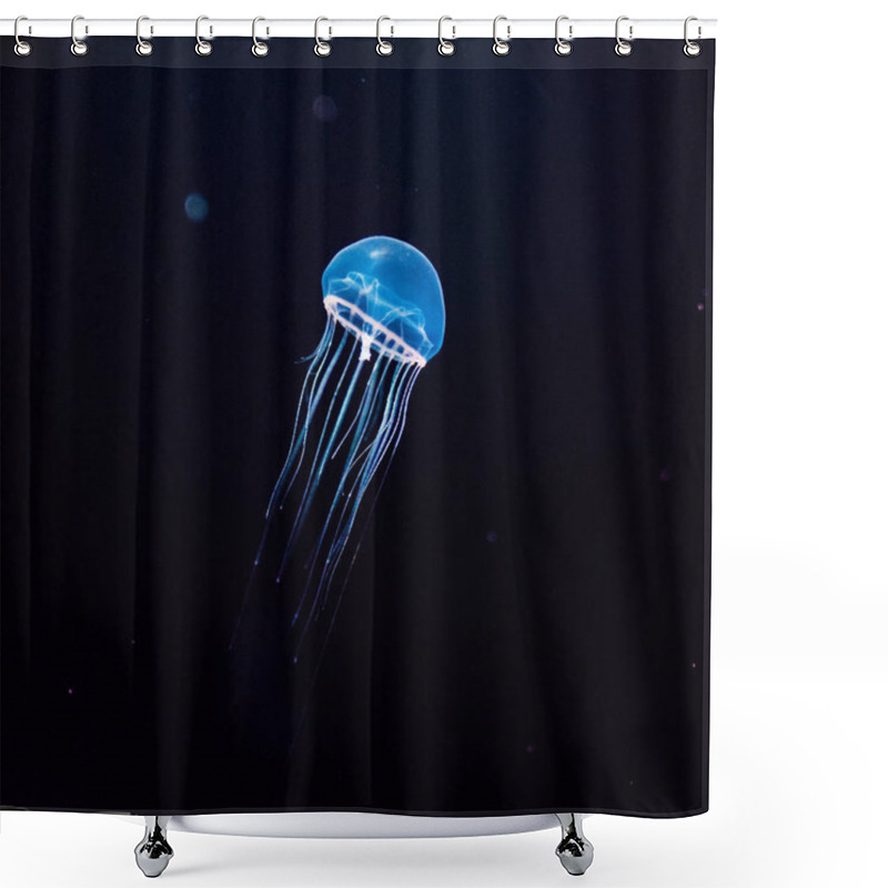 Personality  Beautiful Jellyfish, Medusa In The Neon Light With The Fishes. A Shower Curtains