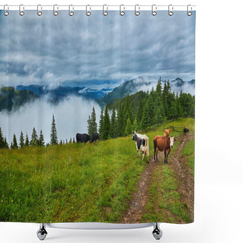 Personality  Cows Graze In A Meadow In The Fog, Carpathian Cows In Ukraine, Mountain Cows Graze In The Fog With A Bell. Shower Curtains