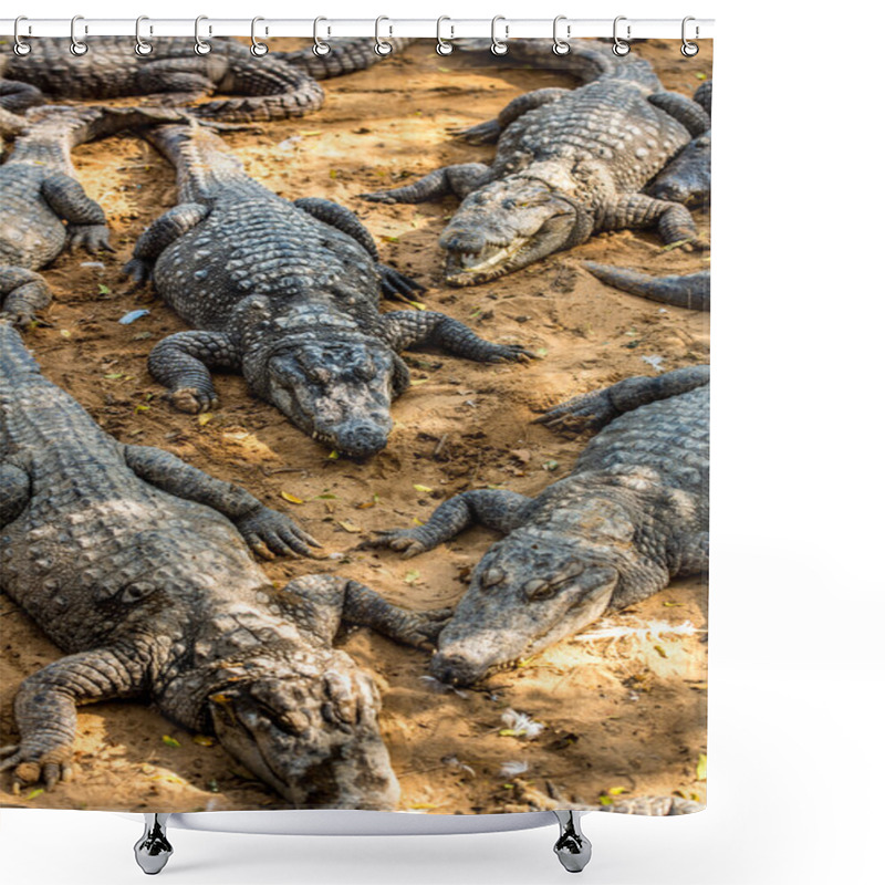 Personality  Crocodile Alligator Shower Curtains