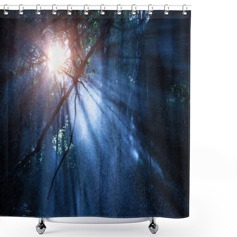 Personality  Mystery Rainforest Shower Curtains