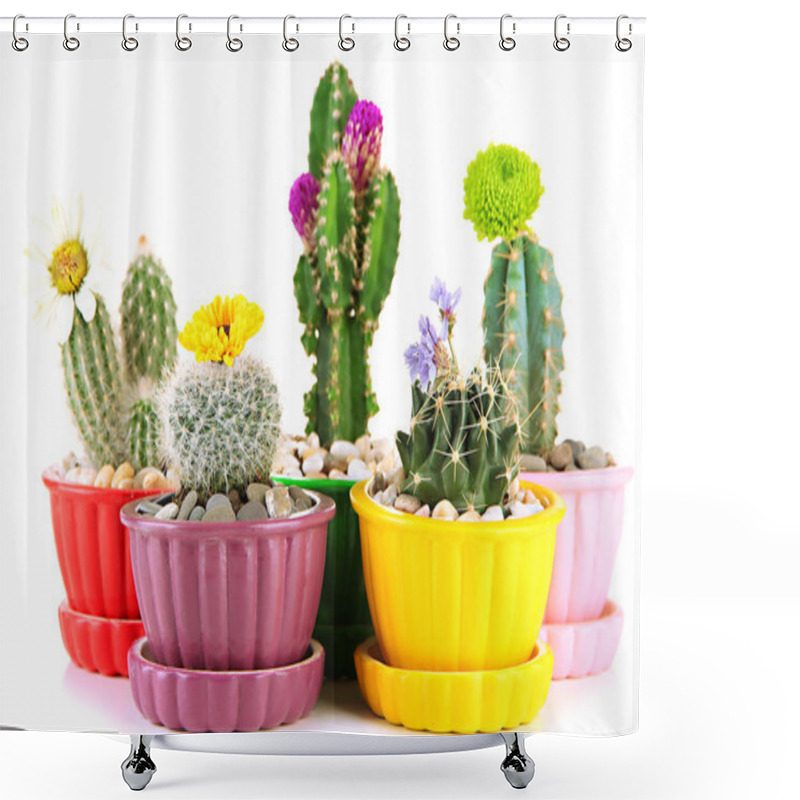 Personality  Cactuses In Flowerpots With Flowers, Isolated On White Shower Curtains