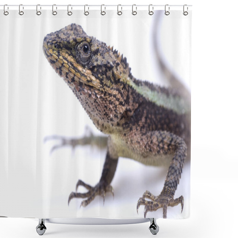 Personality  Lizard Shower Curtains