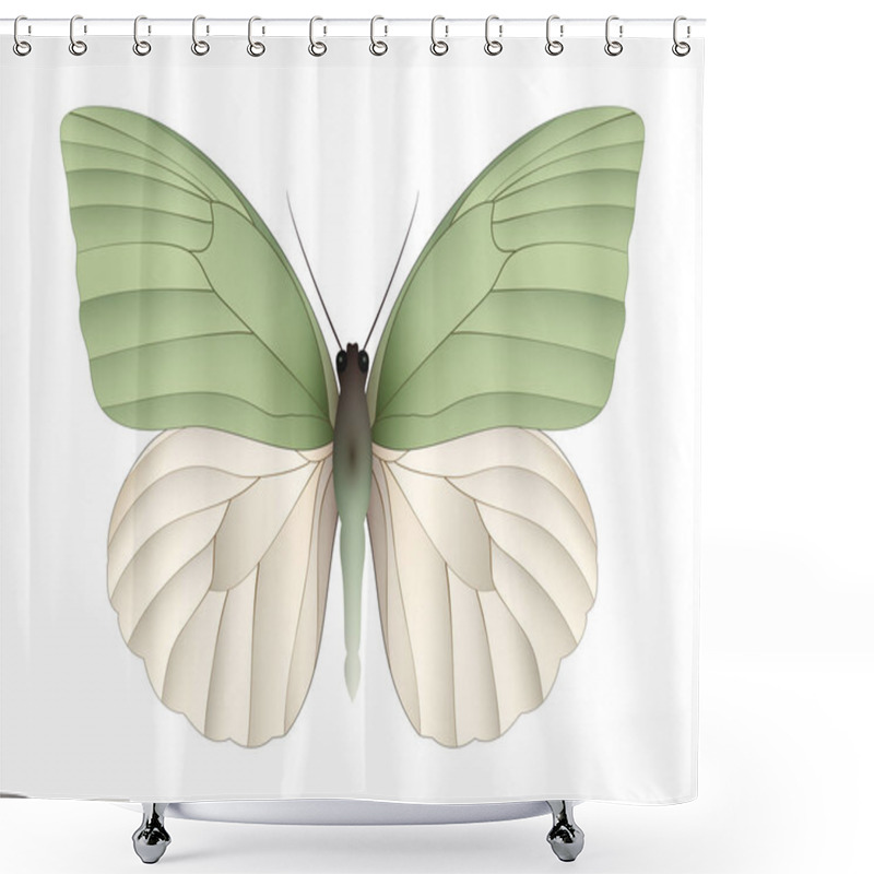 Personality  Beautiful Butterfly Isolated On A White Background Shower Curtains