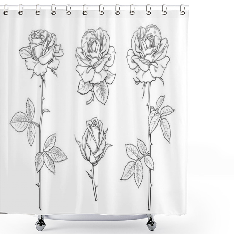 Personality  Big Set Of Rose Flowers, Buds, Leaves And Stems In Engraving Style. Hand Drawn Realistic Open And Unblown Rosebuds Shower Curtains