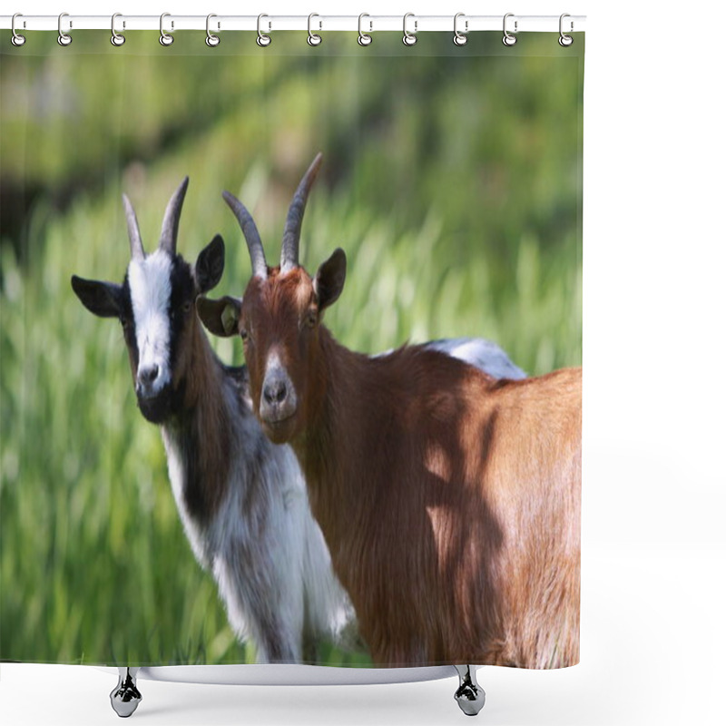 Personality  Scenic View Of Countryside, Selective Focus  Shower Curtains