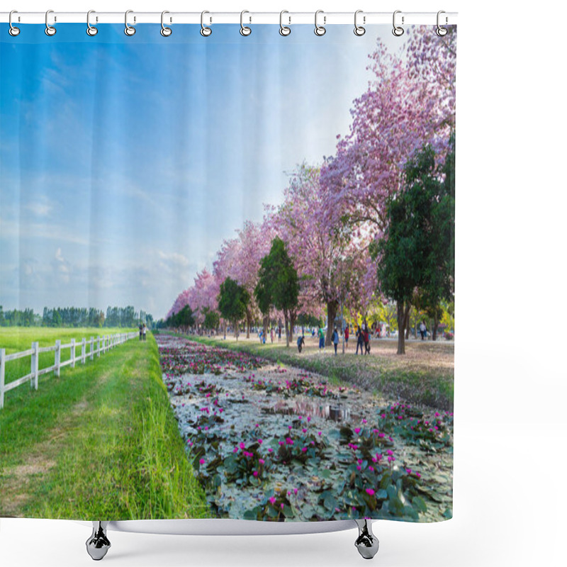 Personality  Tourists Walking In Garden With Blooming Sakura Trees Shower Curtains