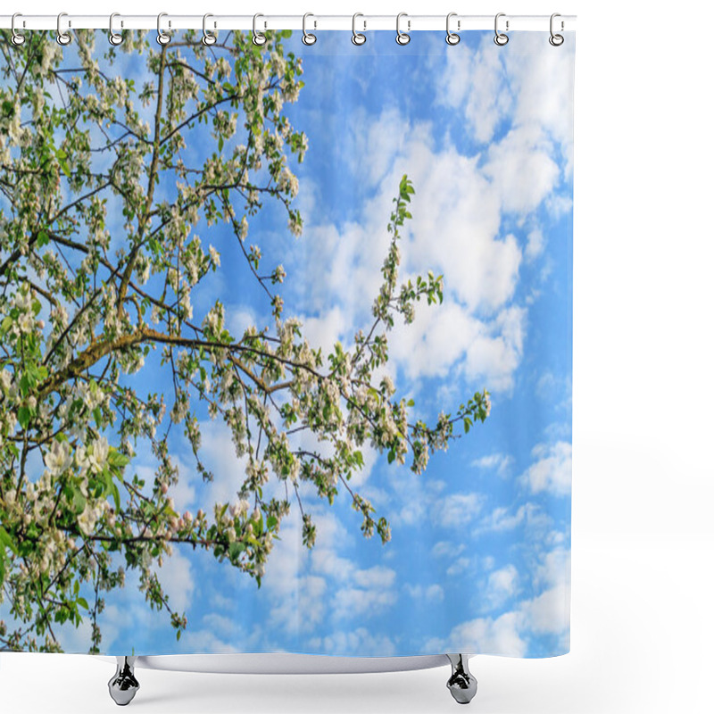 Personality  Spring - Lonely Apple Tree Branches. Shower Curtains