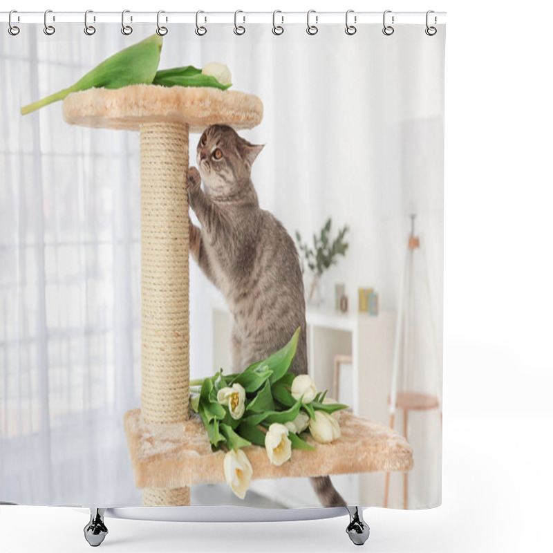 Personality  Cute Cat On Claw Sharpener Shower Curtains