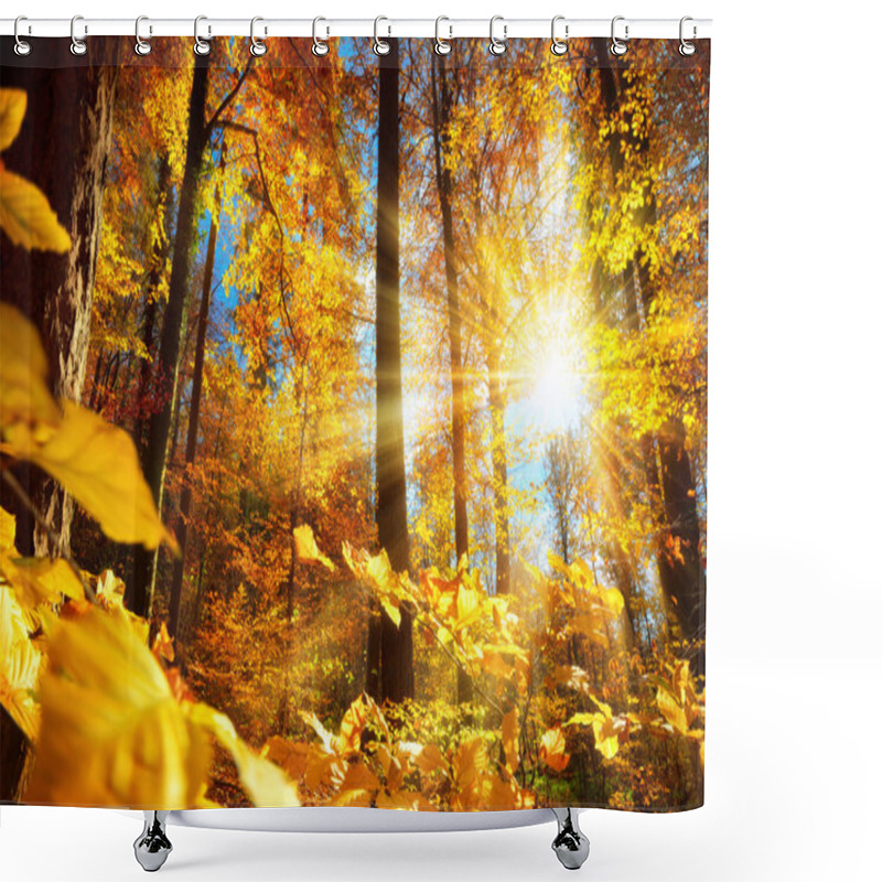 Personality  Gorgeous Autumn Sunlight In A Forest Shower Curtains