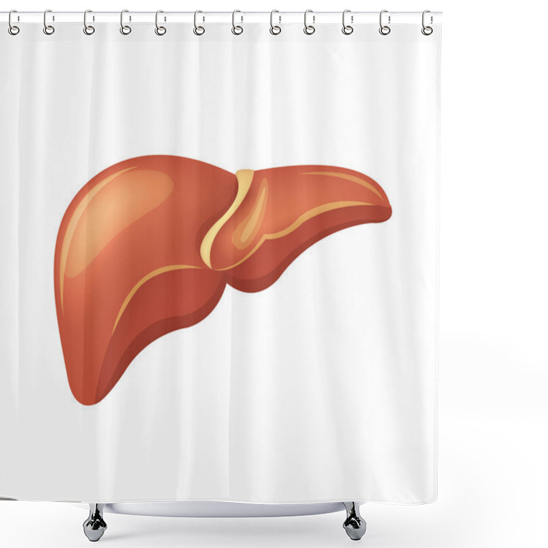 Personality  Vector Liver Illustration Shower Curtains