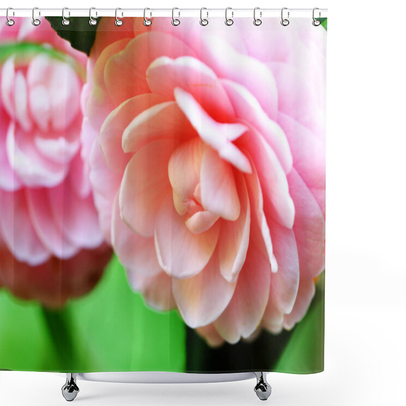 Personality  Camellia Shower Curtains