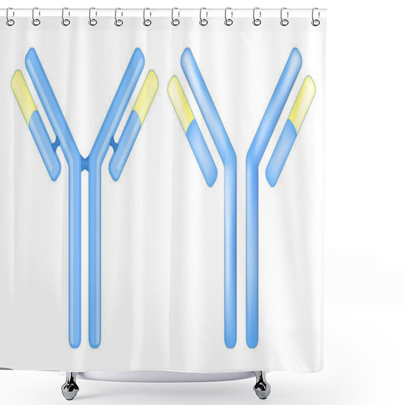 Personality  Antibody Molecule. Signs Or Icons Of An Immunoglobulin. IgE Concept Isolated On White Background. Structure Of The Antibody. Adaptive Immune Response. Vector Illustration Shower Curtains