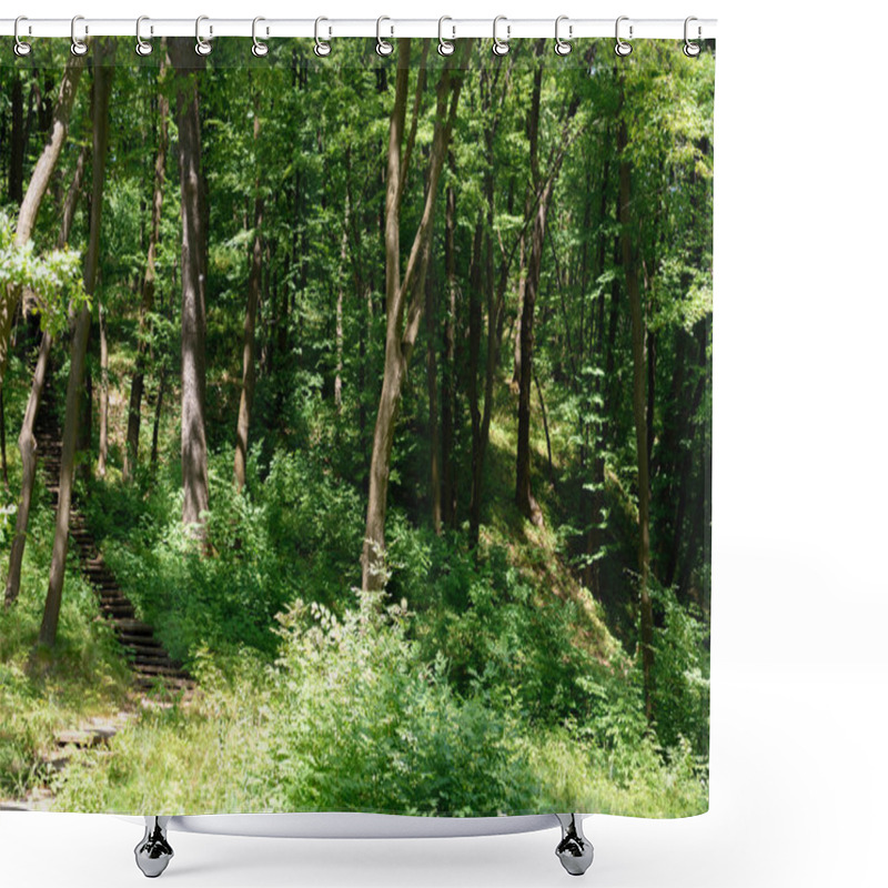 Personality  Scenic View Of Stairs And Trees With Sunlight In Park  Shower Curtains