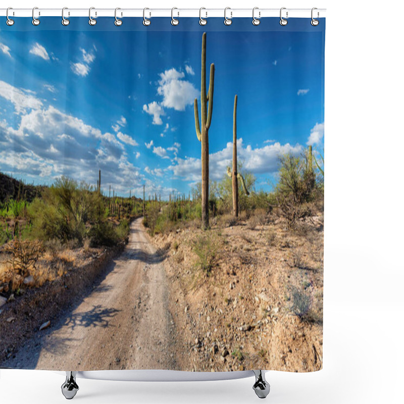 Personality  Road In Saguaro National Park, Tucson, Arizona Shower Curtains