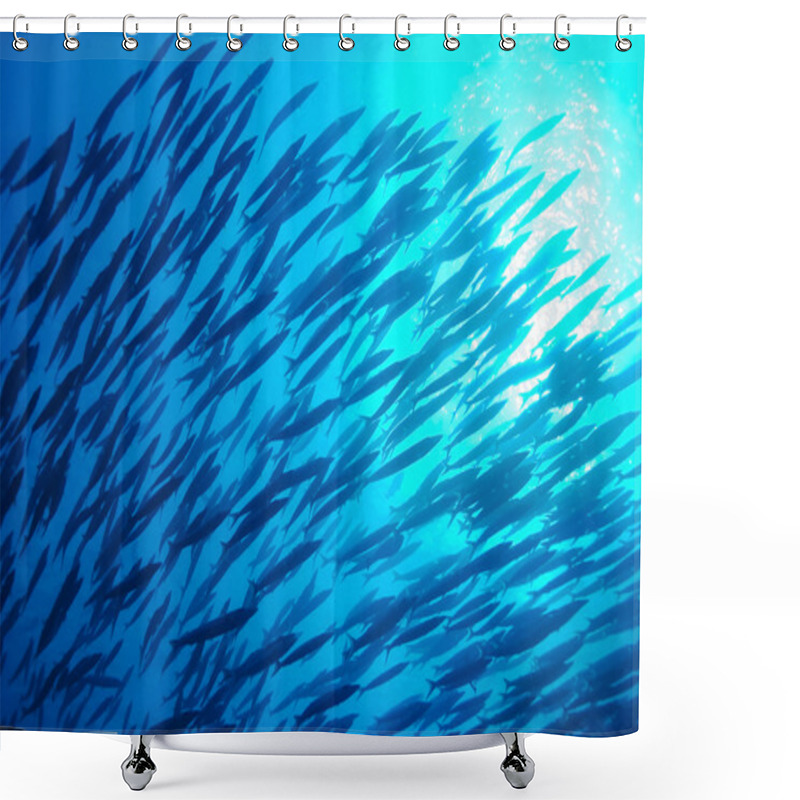 Personality  School Of Fish, Underwater Shower Curtains