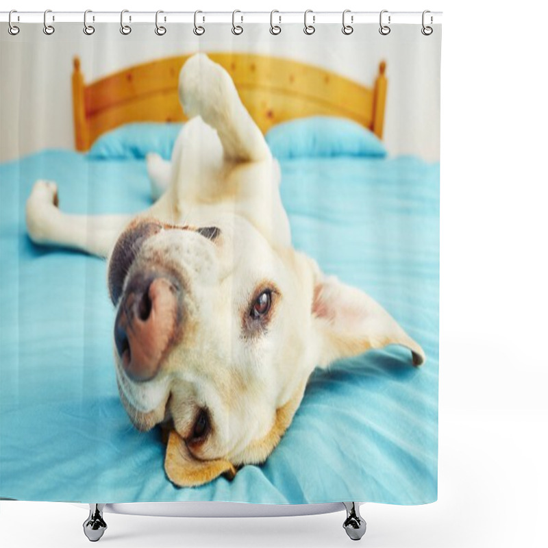 Personality  Dog Is Lying On The Bed  Shower Curtains