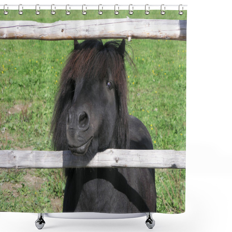 Personality  Pony Shower Curtains