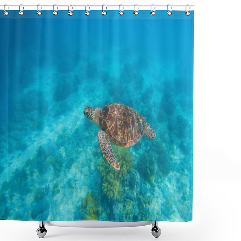 Personality  Sea Turtle In Water. Exotic Island Seaside Environment In Sea Lagoon. Shower Curtains