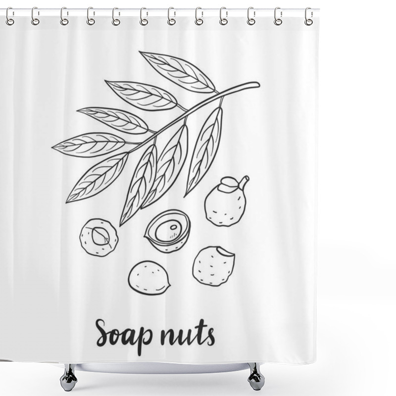 Personality  Sapindus Mukorossi (soap Nuts, Soapberry, Washnut). Shower Curtains