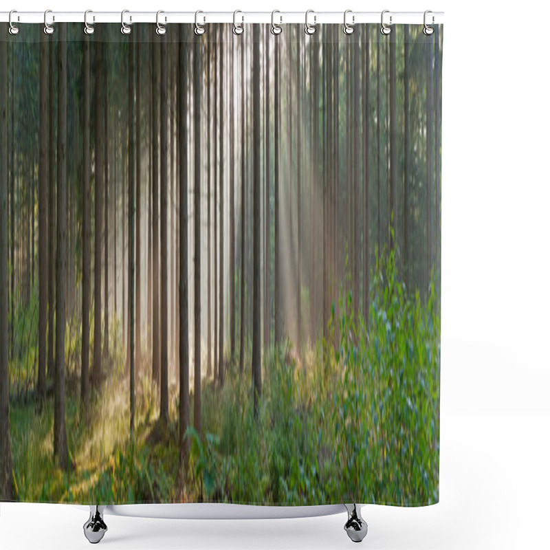 Personality  Panorama Landscape Of Forest In The Mist With Sun Rays. Shower Curtains