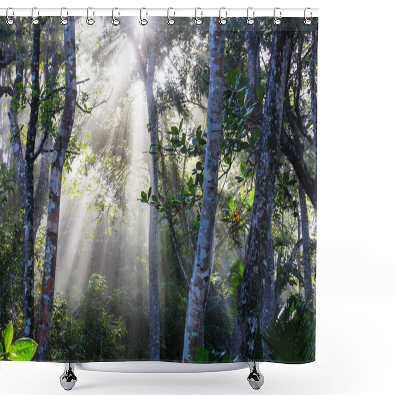 Personality  Jungle In Hawaii Nature Recreation Shower Curtains