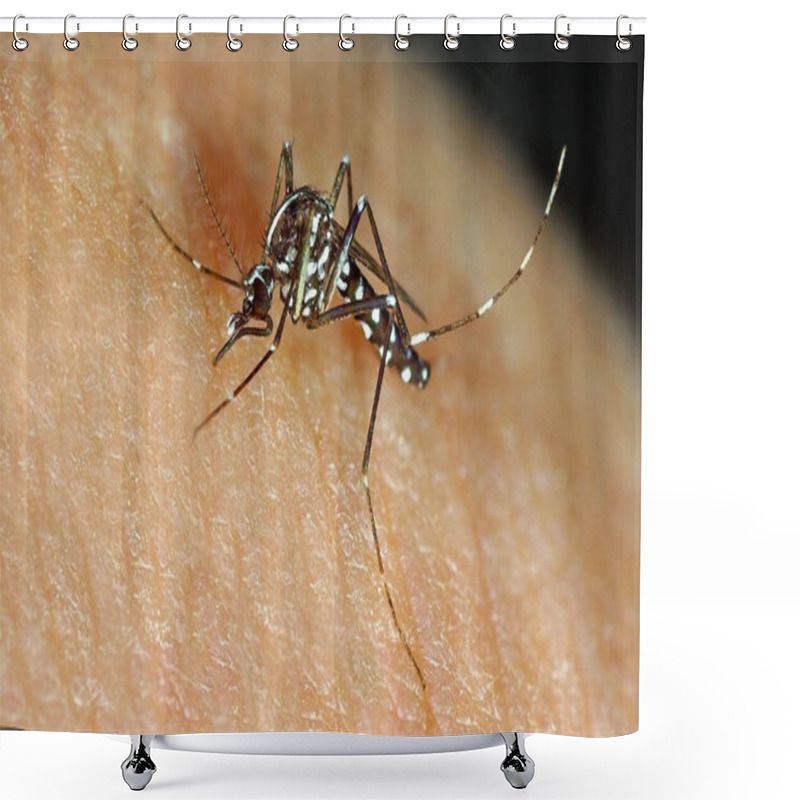 Personality  Asian Tiger Mosquito Aedes Albopictus Shower Curtains