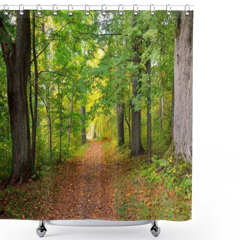 Personality  Rural Road (alley, Pathway) In A City Park. Close-up Of Mighty Trees With Colorful Green And Golden Leaves. Autumn. Latvia, Europe. Travel Destination, Ecotourism, Recreation, Walking, Cycling, Nature Shower Curtains