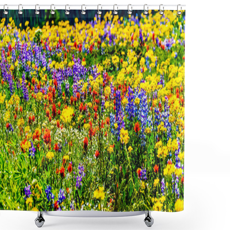 Personality  An Abundance Of Wildflowers On Juniper Ridge At Sun Peaks Village Shower Curtains