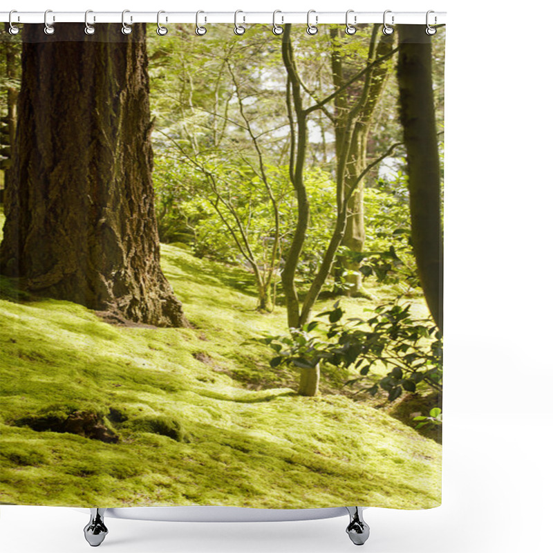 Personality  Japanese Garden Shower Curtains