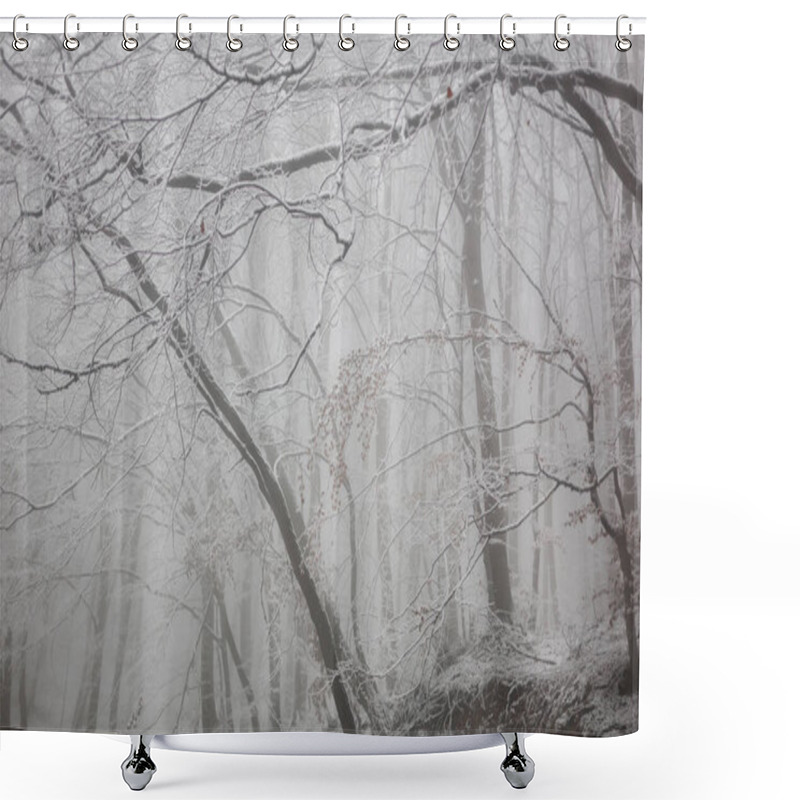 Personality  Foggy White Winter In A Frozen Forest Near A Rural Road Shower Curtains