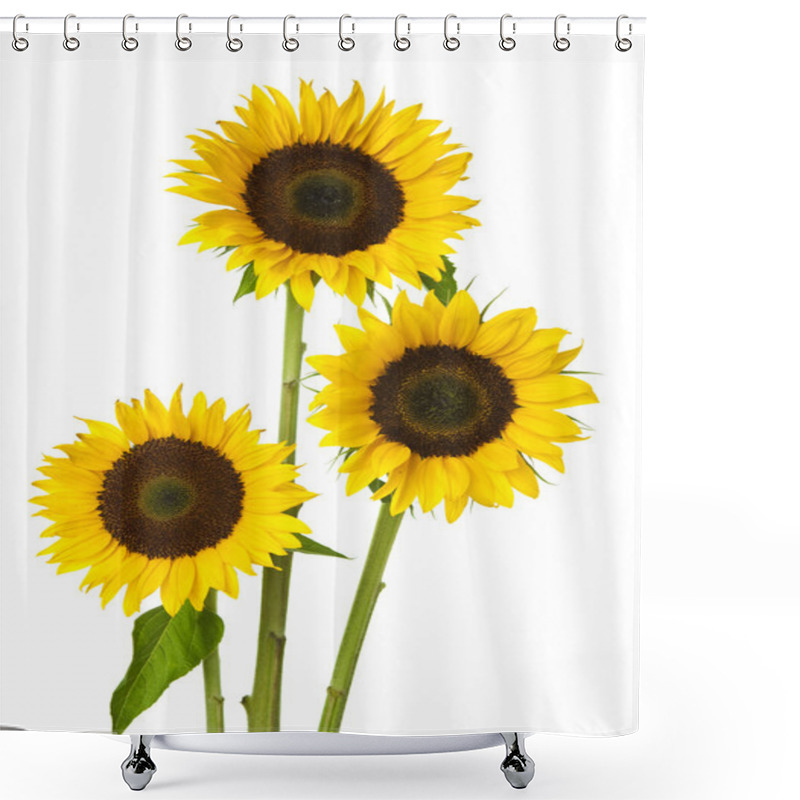 Personality  Sunflower Shower Curtains