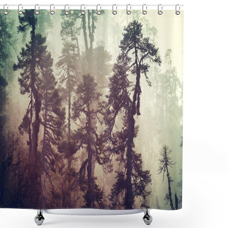 Personality  Jungle In Himalaya Mountains Shower Curtains