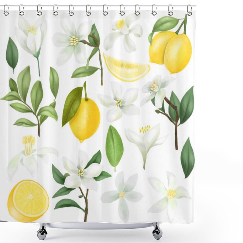 Personality  Hand Drawn Lemons, Lemon Tree Branches, Leaves And Lemon Flowers Clipart, Isolated On A White Background Shower Curtains