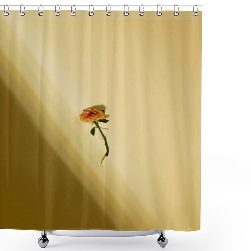 Personality  A Solitary Dried Rose Against A Warm-toned Wall, Evoking Nostalgia And Beauty. Shower Curtains