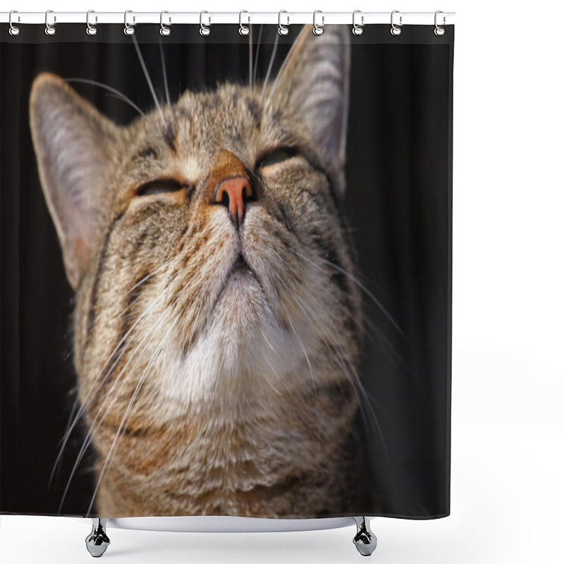 Personality  Mixed-breed Cat Shower Curtains