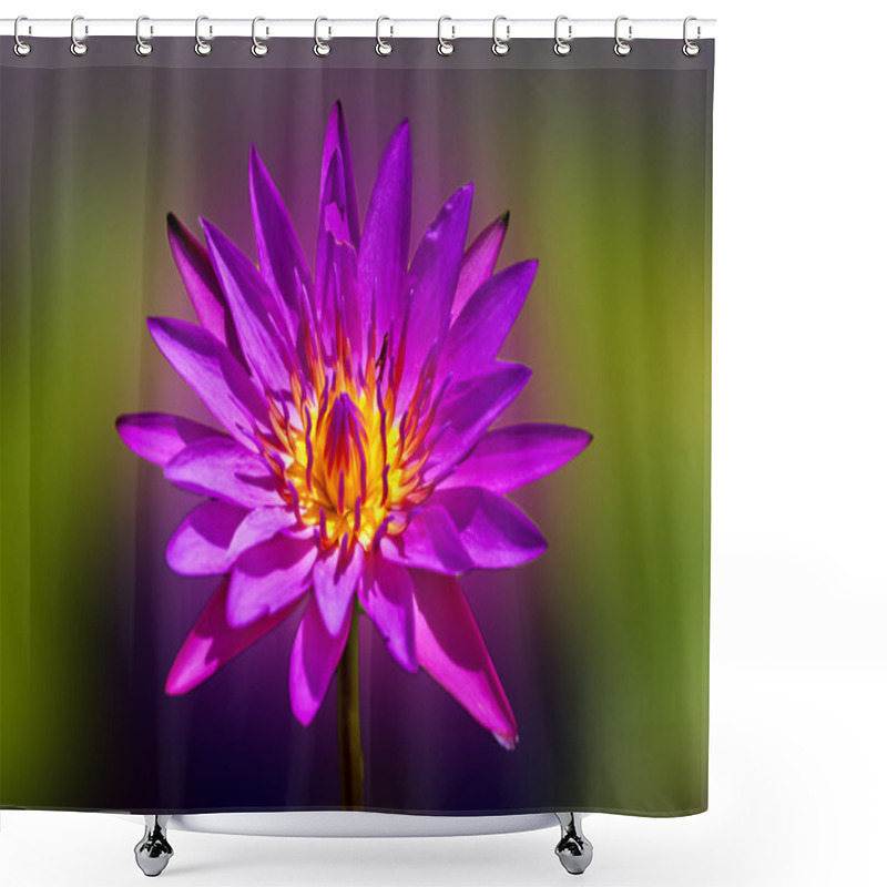 Personality  Bloom Lotus Shower Curtains