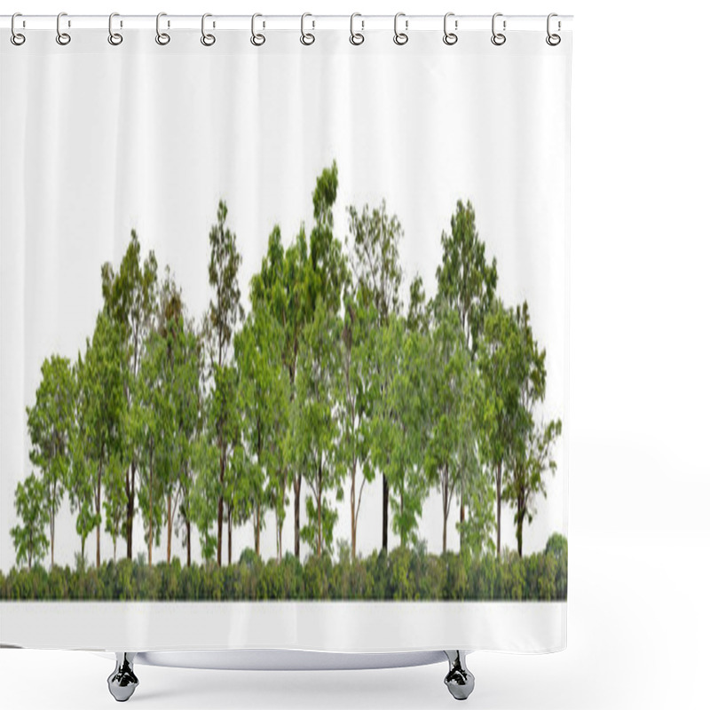 Personality  Green Trees Isolated On White Background.are Forest And Foliage In Summer For Both Printing And Web Pages With Cut Path And Alpha Channel  Shower Curtains