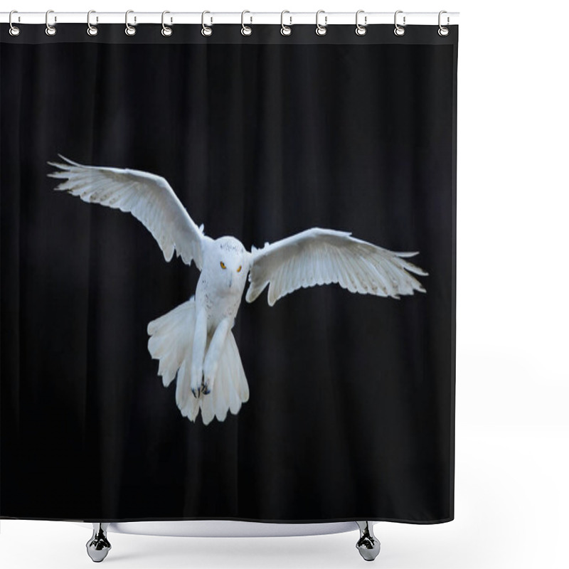 Personality  Beautiful Owl In Nature Habitat Shower Curtains