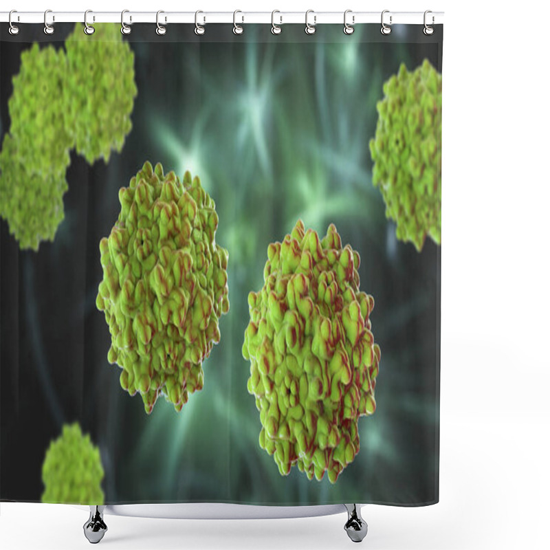 Personality  Adeno-associated Viruses, 3D Illustration. The Smallest Known Viruses To Infect Humans, Belong To The Family Parvoviridae, Are Used For Gene Therapy, And For Creation Of Isogenic Human Disease Models Shower Curtains