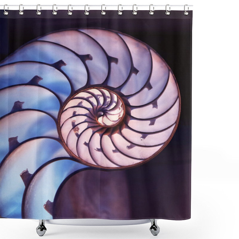 Personality  Cut Away Of Nautilus Shell On Magic Background Shower Curtains