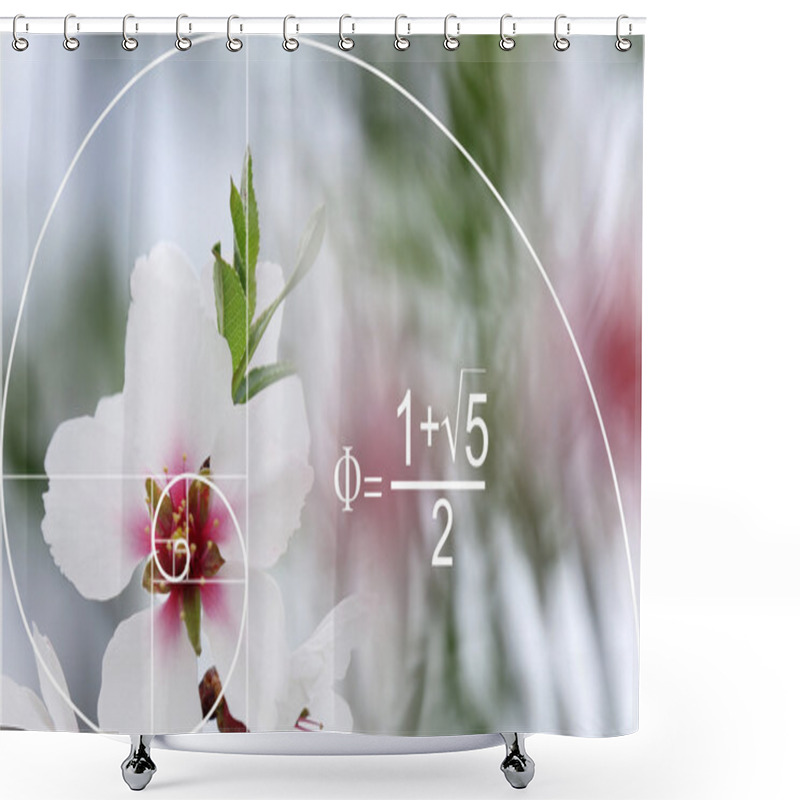 Personality  Illustration Of Golden Ratio In Nature. Shower Curtains