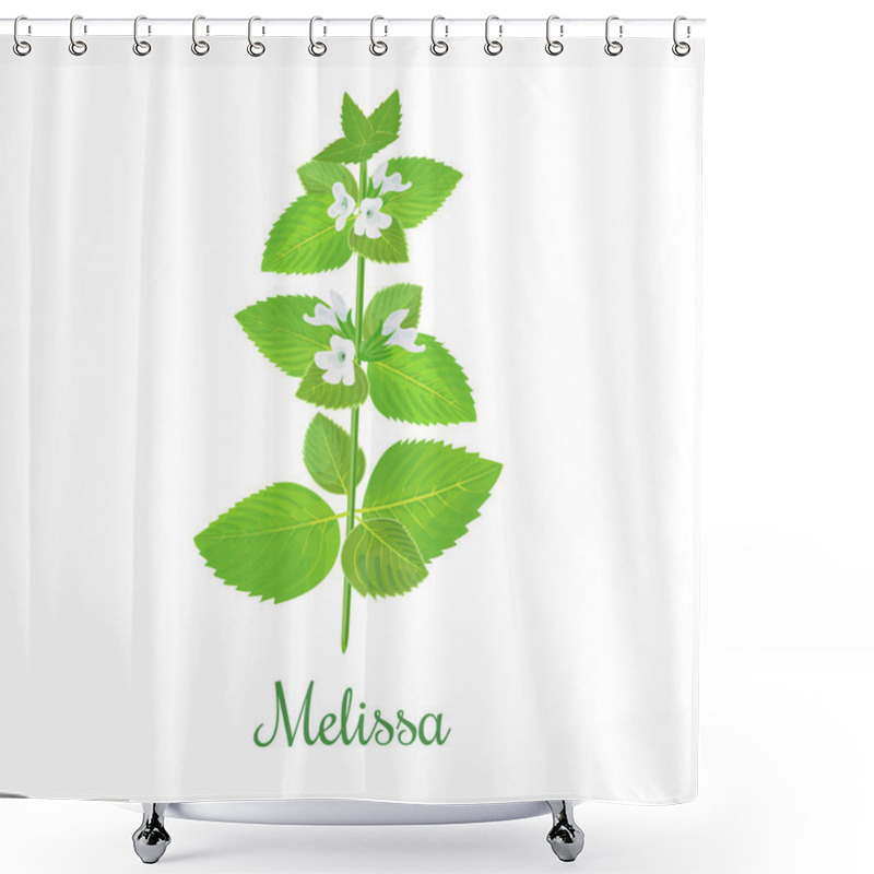 Personality  Fresh Melissa Plant. Also Lemon Balm Or Balm Mint Shower Curtains