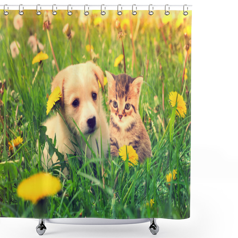 Personality  Kitten And Puppy  Shower Curtains