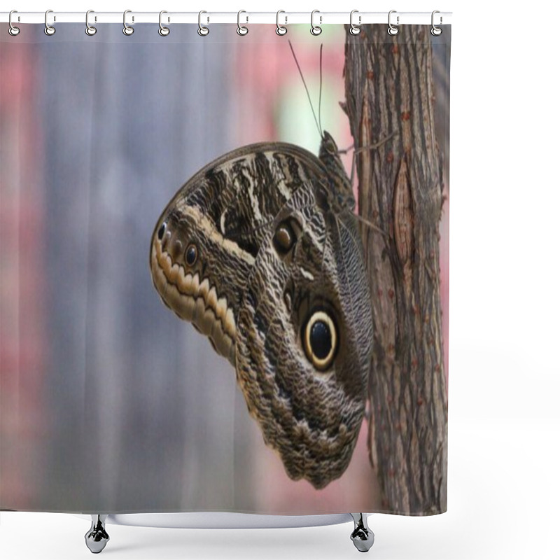 Personality  Close-up Of An Intricately Patterned Butterfly Perched On The Bark Of A Tree Trunk, With Large, Prominent Eyespots And A Blurred Natural Background. Shower Curtains