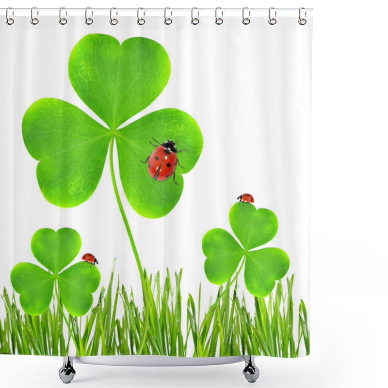 Personality  Dewy Green Grass With Clover Leaf Shower Curtains