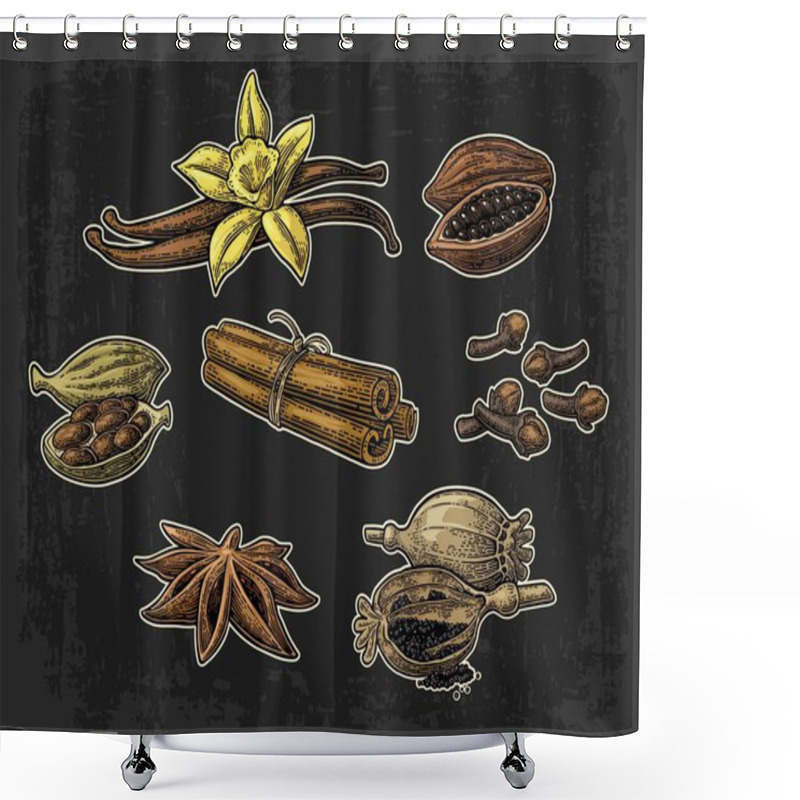 Personality  Set Of Spices. Anise, Cinnamon, Cocoa, Vanilla, Poppy Shower Curtains