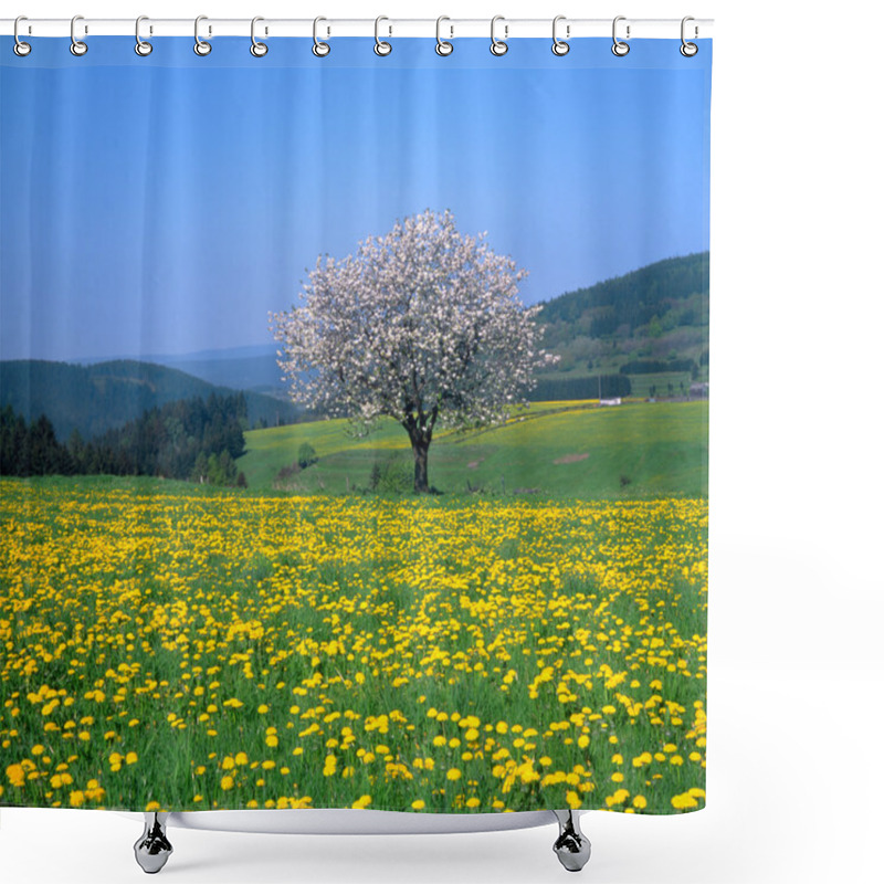 Personality  Spring Landscape With Flowering Fruit Trees And Dandelion Meadow Shower Curtains