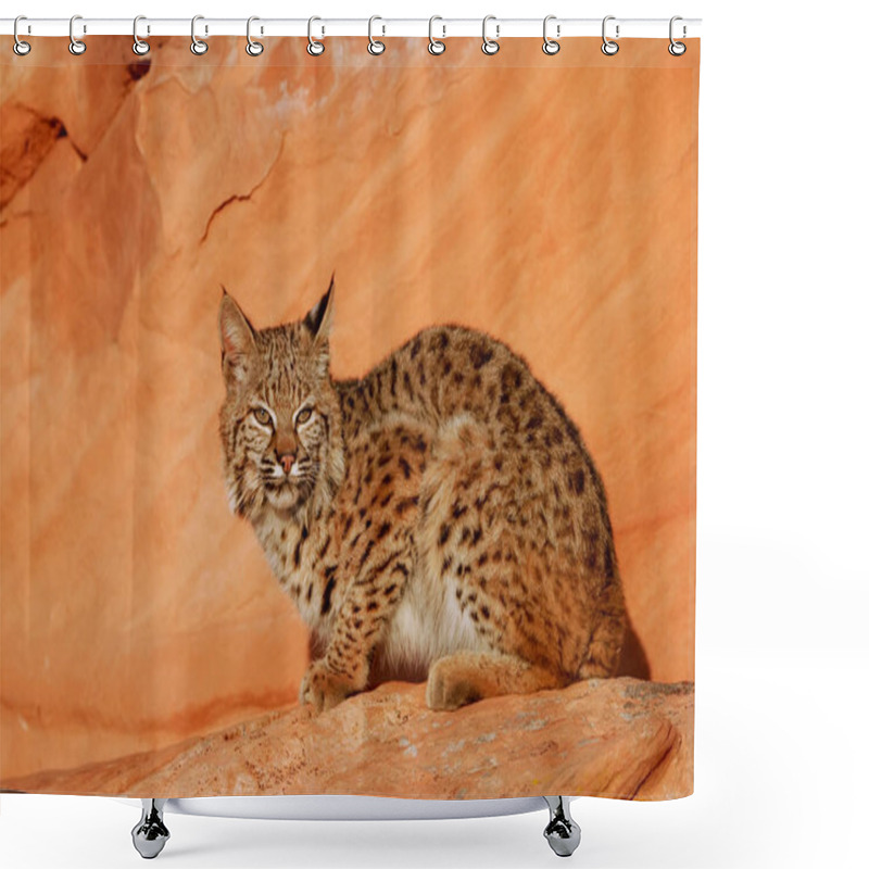 Personality  Bobcat Sitting On Red Rocks Shower Curtains