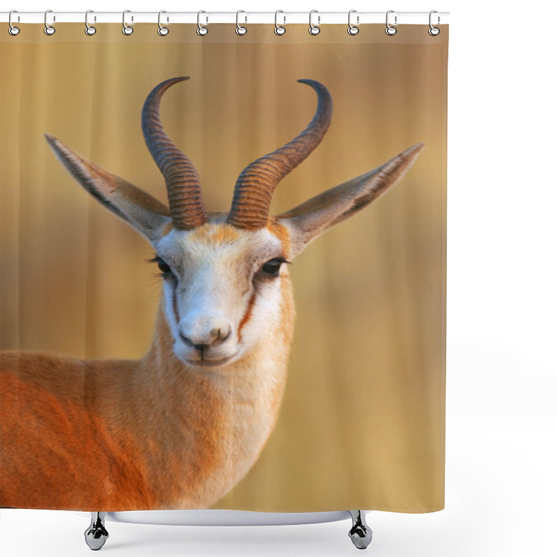 Personality  Springbok Portrait Shower Curtains